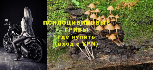 spice Приозерск