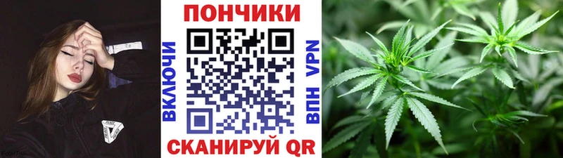 что такое   Кореновск  Бошки марихуана THC 21% 